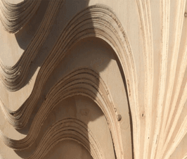 bioptimized-sculpture-harvard-arts-first